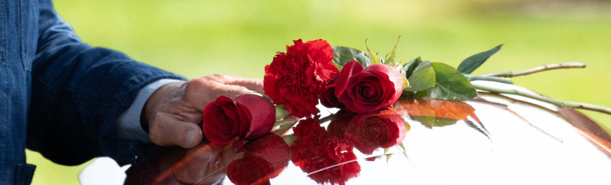 Hand On Casket Roses Scaled
